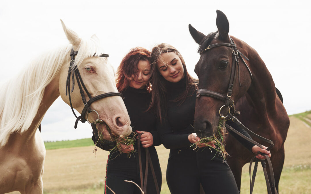 Rangers Riding Ranch CIC is now Trading as Equustrong UK